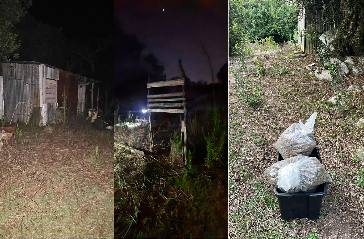 Fotos cedidas a Subrayado. Fotos cedidas a Subrayado.