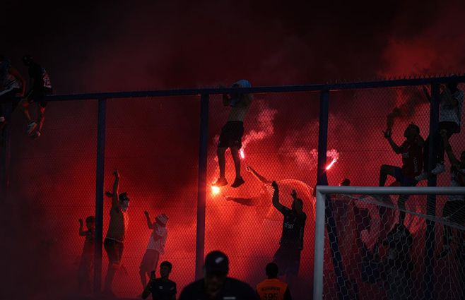 bengalas-en-el-parque-central-foco-uy