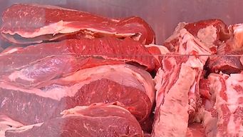 para carniceros, la importacion de carne con hueso de brasil impactara favorablemente en el precio