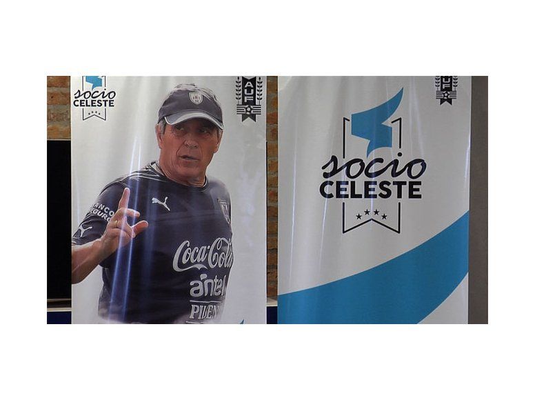 socio celeste