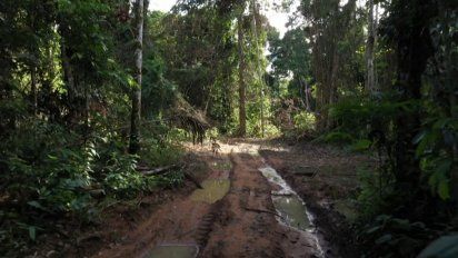 noruega bloquea ayuda para la amazonia por deforestacion en brasil