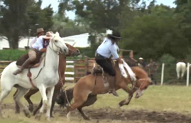 jineteadas-archivo-caballos-criollas.jpg