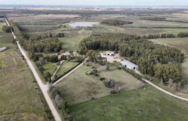 campo-colonizacion-florida.jpg