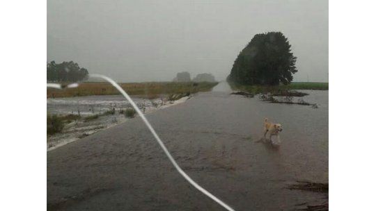 Cuidado: abundante lluvia hasta el martes provocará inundaciones