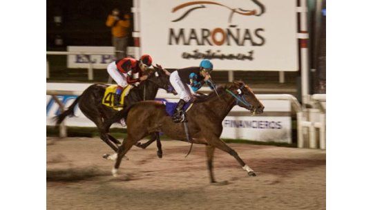 Cuatro clásicos en un fin de semana hípico muy atractivo