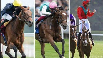 Subrayado | 09 MICRO TURF VIERNES 24 ENERO