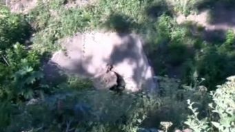 vecinos denuncian vertido de saneamiento en el rio santa lucia: nos genera todo un problema ambiental insalubre