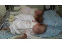 La historia de las trillizas argentinas que todos quieren adoptar