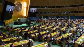 Asamblea General de la ONU, febrero 28, donde hablará Uruguay. Foto: AFP).