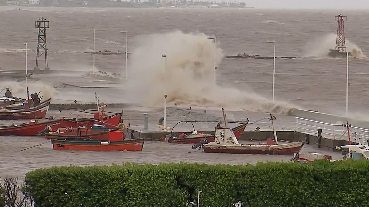Nubel Cisneros llamó a 
