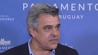 legisladores alcanzan firmas y habra plebiscito por allanamientos nocturnos: el texto que proponen