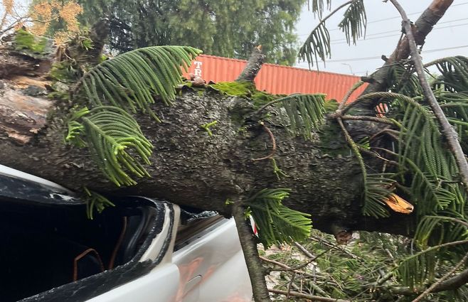 WhatsApp Image 2025-09-27 at 17.40.33 (1)