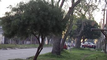 El tiroteo ocurrió este miércoles en las calles Bérgamo y Acrópolis del barrio Jardines del Hipódromo.