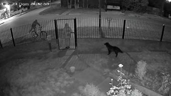 Captura de video. El intento de rapiña fue el domingo.