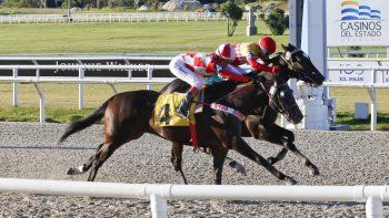 Subrayado | 8 MICRO TURF 29 D ABR