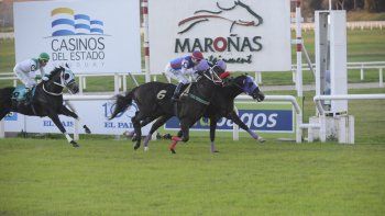 Subrayado | MICRO TURF 13 D MAY