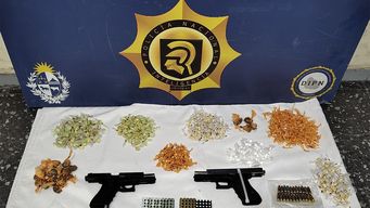 cinco detenidos, armas, cargadores y drogas se incautaron en allanamientos en jardines del hipodromo
