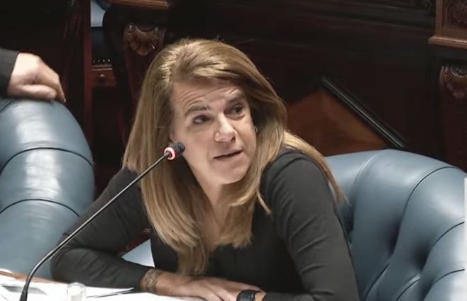 Silvia-Nane-renuncia-al-Senado-junio-18.jpg
