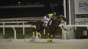 Subrayado | MICRO TURF 25 D MAR