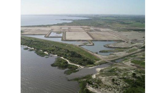 Montes del Plata pagará U$S 4 millones por impuesto a la tierra