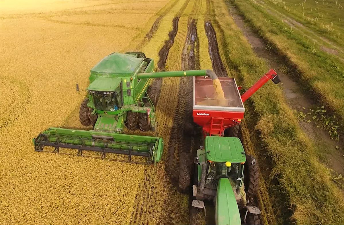 "Uruguay no se duerme": se quedó con el 63% de la cuota de arroz que el Mercosur le venderá a la Unión Europea este año