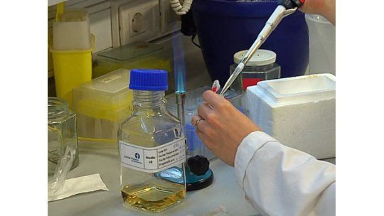 Salud Pública estudia dos posibles nuevos casos de leptospirosis