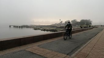 comienzo de semana con lluvias en el norte y neblinas aisladas