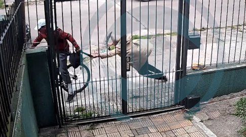 Captura de cámara de seguridad que registró la rapiña en Malvín Norte.