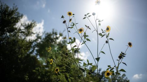 Fin de semana con ola de calor: comienza el domingo y Nubel Cisneros anuncia tardes agobiantes