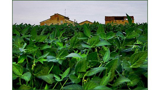 Uruguay jugado a exportar a China: ventas aumentaron 60% en 2011