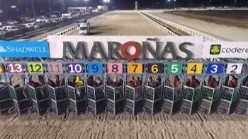 Subrayado | MICRO TURF 31 D MAY