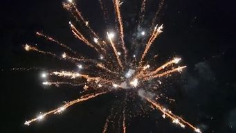 encuesta de plataforma animalista revela disminucion en el uso de pirotecnia en navidad