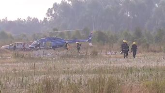bomberos combatio incendio de campo en ciudad del plata, tras cuatro horas de trabajo