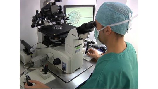 Fecundación In vitro reproducción asistida