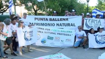 esto deja un precedente para otros proyectos: movimiento a favor de punta ballena celebro rechazo de proyecto edilicio