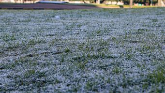 fin de semana frio y con heladas, luego comienza a subir la temperatura, el informe de nubel cisneros