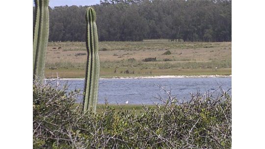 Una completa guía para saber qué se puede cazar y qué no