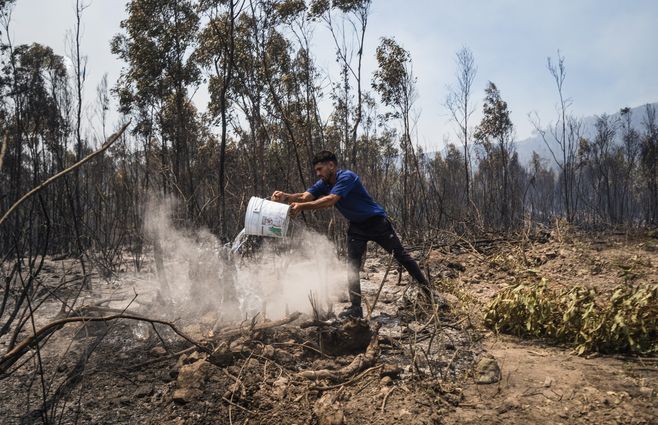 INCENDIO CERRO DEL TORO FOCO UY (5).jpeg
