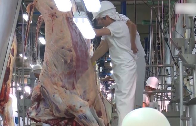 carne-producción-frigorífico-uruguay