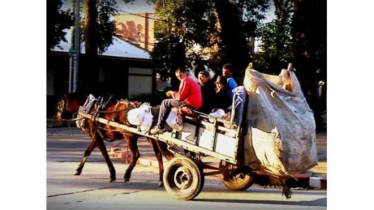 Proponen que inspectores puedan retirar caballos de carritos