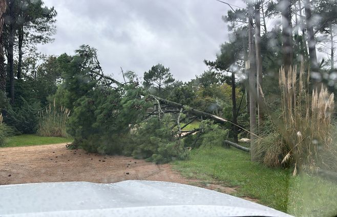 Foto: IDM. Temporal en Maldonado con vientos fuertes.