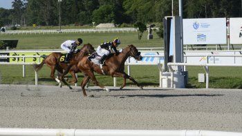 Subrayado | MICRO TURF 22 D NOV