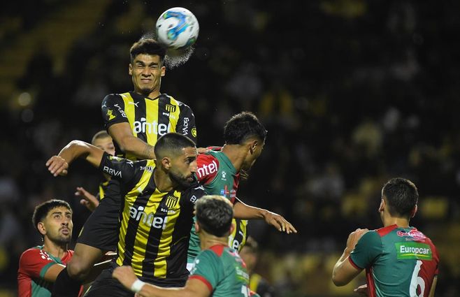 WhatsApp Image 2023-02-19 at 22.05.31.jpeg