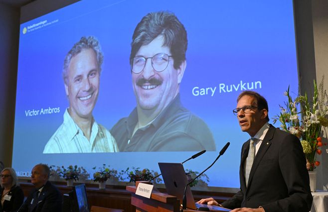 Premio Nobel de Medicina 2024. Foto: AFP