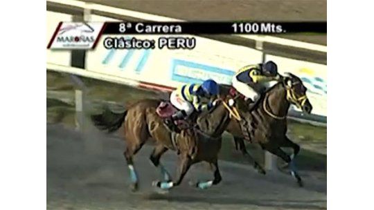 Estos fueron los triunfadores del turf el fin de semana