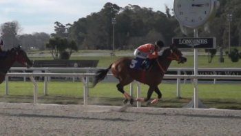 Subrayado | 8 TURF 8 DE JULIO