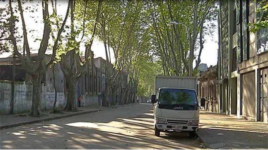 vecinos coyoteros