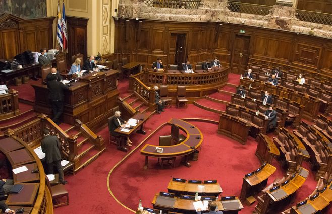 senado-en-cámara-de-diputados.jpg