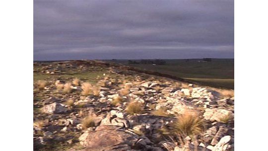 ¿Cómo llegar a un 50-50 con Aratirí? Hoy la ecuación es 65% - 35%