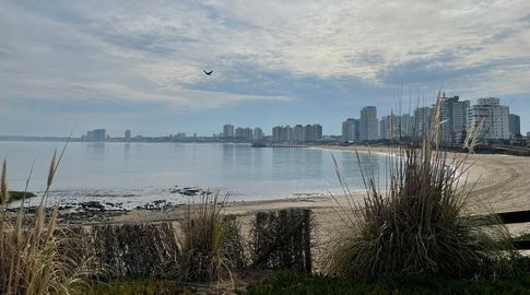 Sábado con mañana fresca y tarde calurosa en todo el país: mirá el pronóstico